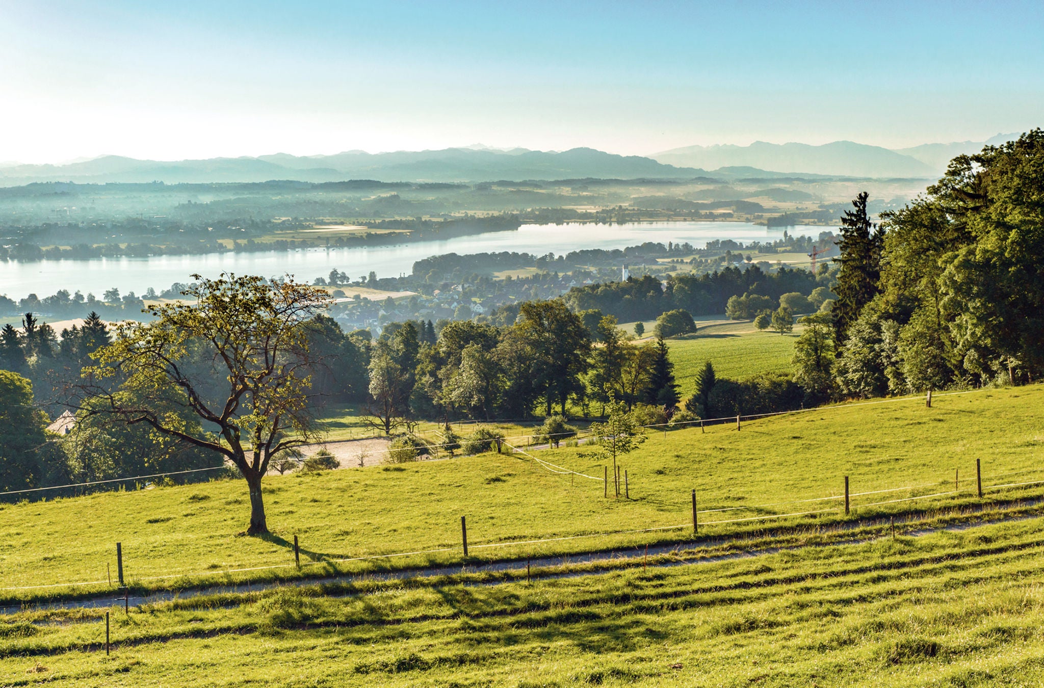 Blick auf den Greifensee auf der Wanderung von Forch nach Uster