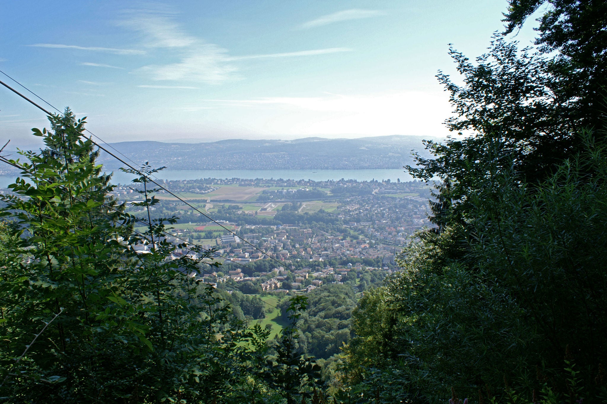 Aussicht von der Felsenegg zwischen den Bäumen auf den Zürichsee