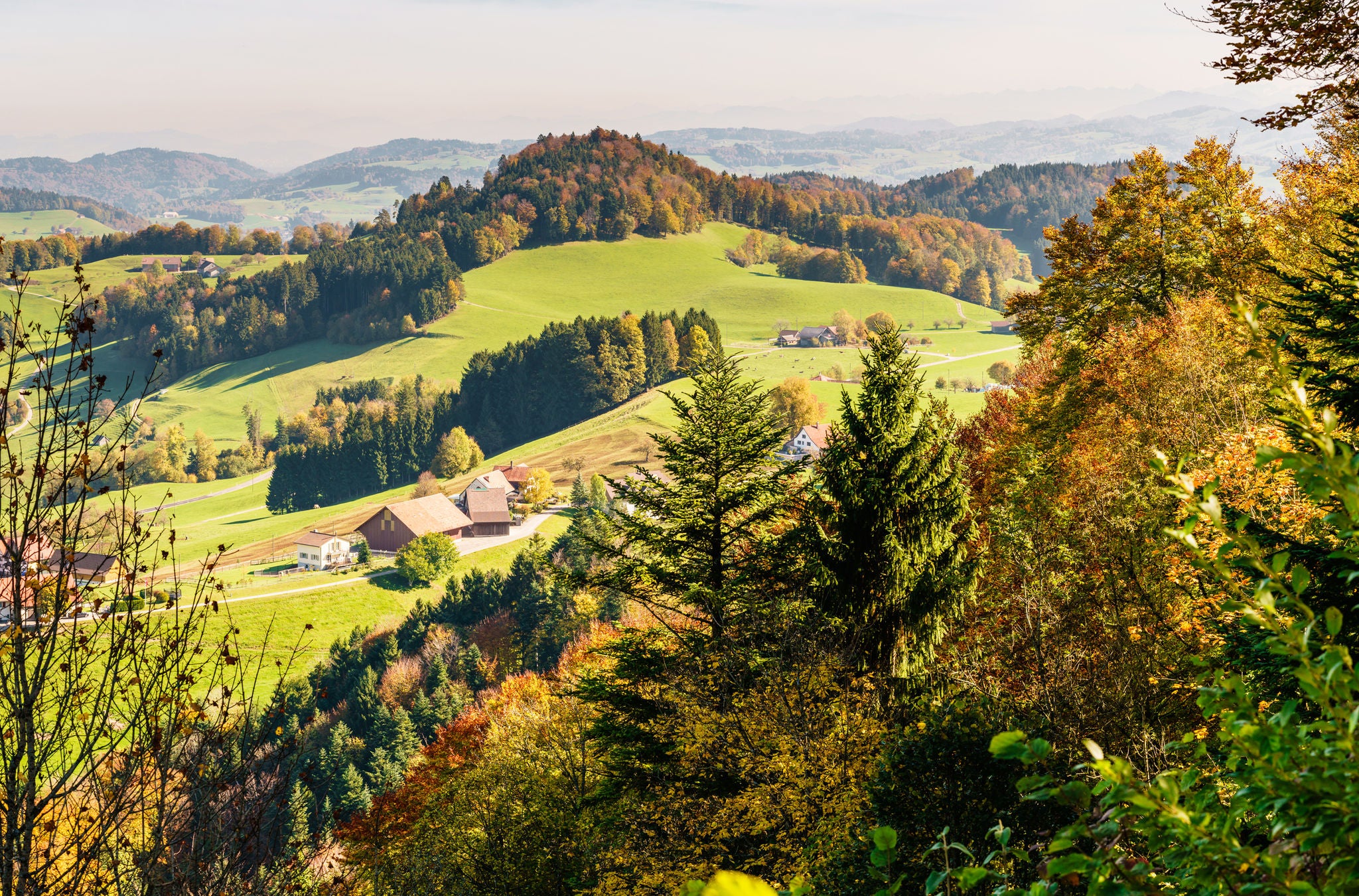 Sicht auf einen Hof in Sternenberg umgeben von herbstlich gefärbten Bäumen. 