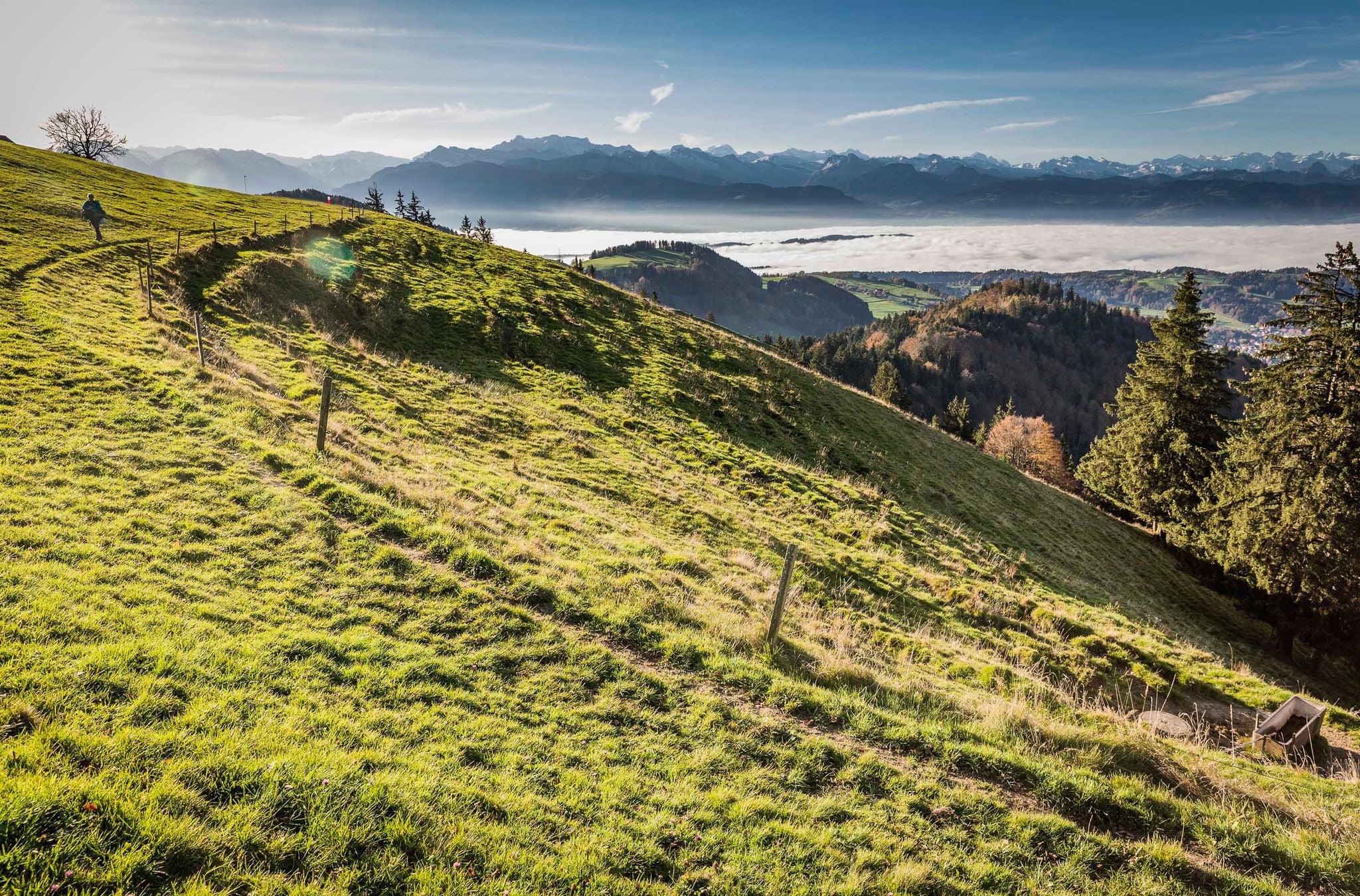 Ausblick von der Wanderung von Wald auf die Alp Scheidegg