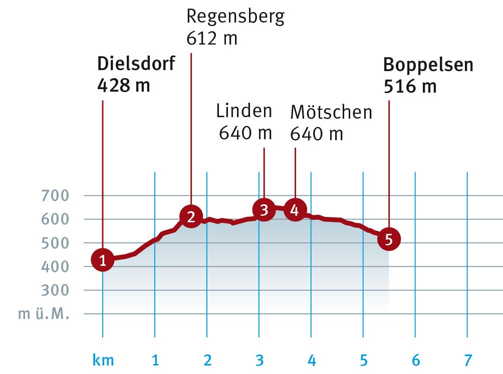 Diagramm_Dielsdorf_Boppelsen.indd