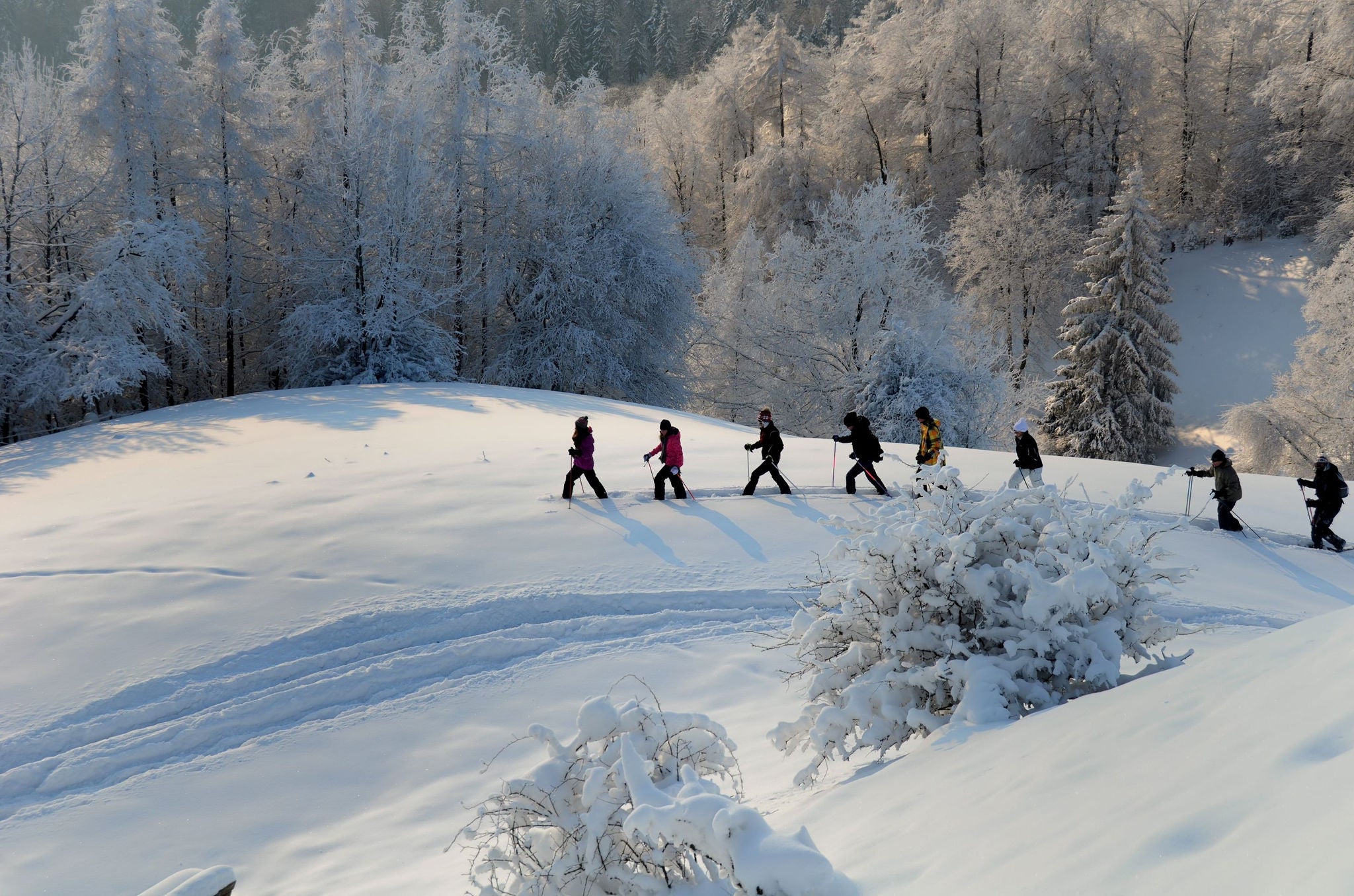 Mit den Schneeschuhen auf dem Schauenberg wandern und im Gasthof Gyrenbad einkehren.