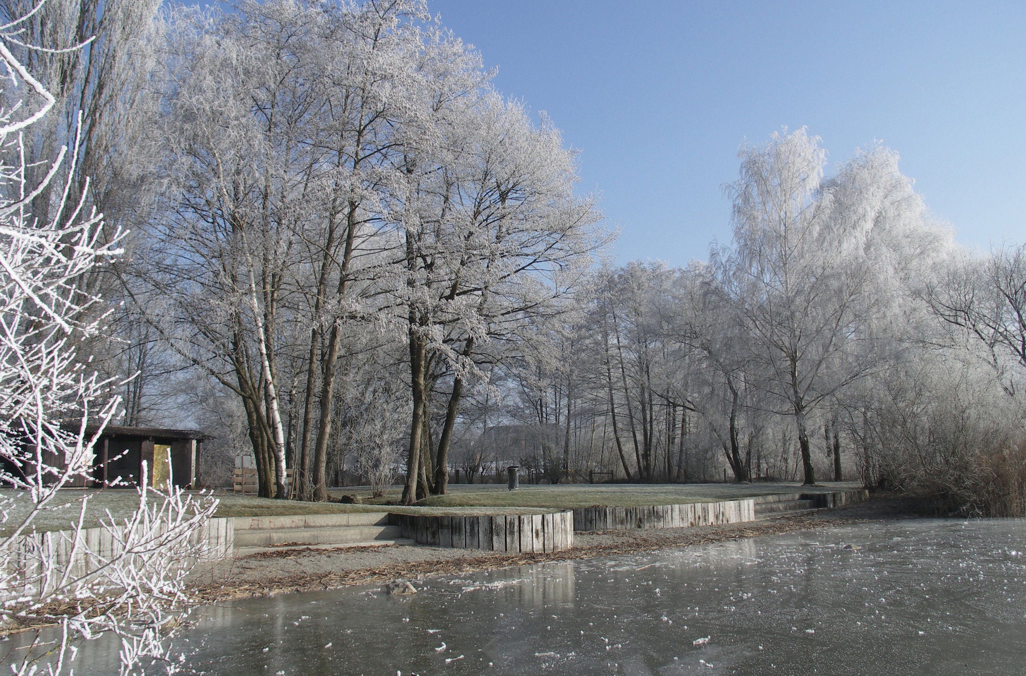 Verschneite Bäume im Bad Furren im Winter