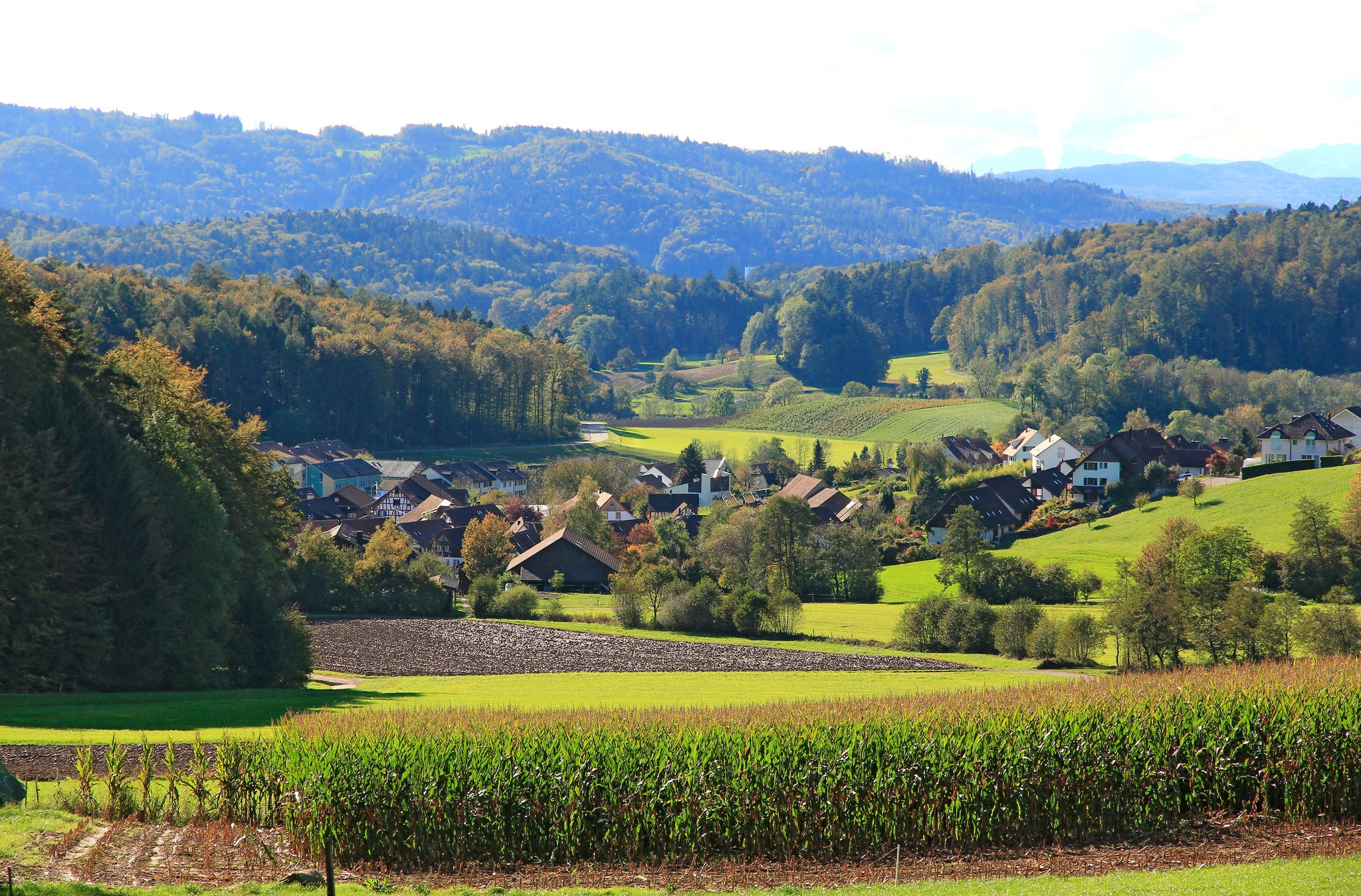 Weitaufnahme eines Dorfes umgeben von viel Natur