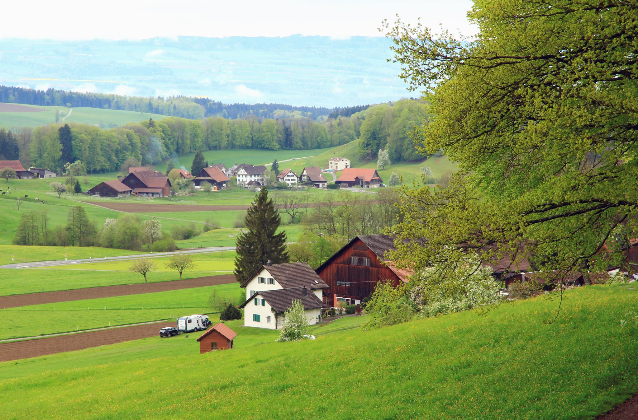 Felder auf der Wanderung von der Sihl ins Säuliamt