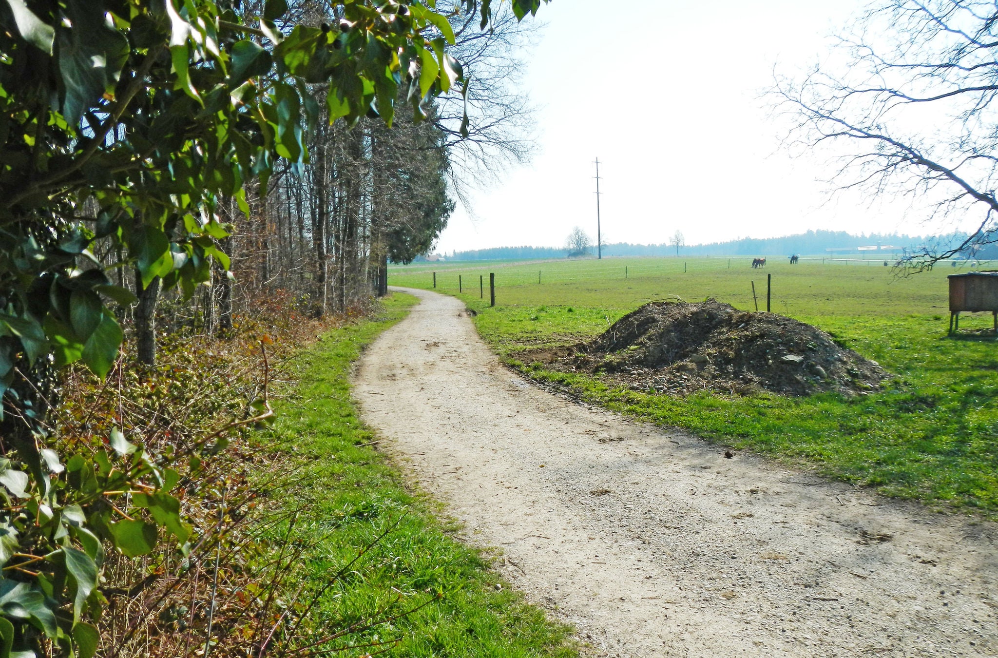 Waldweg auf der Wanderung von Bassersdorf nach Wülflingen