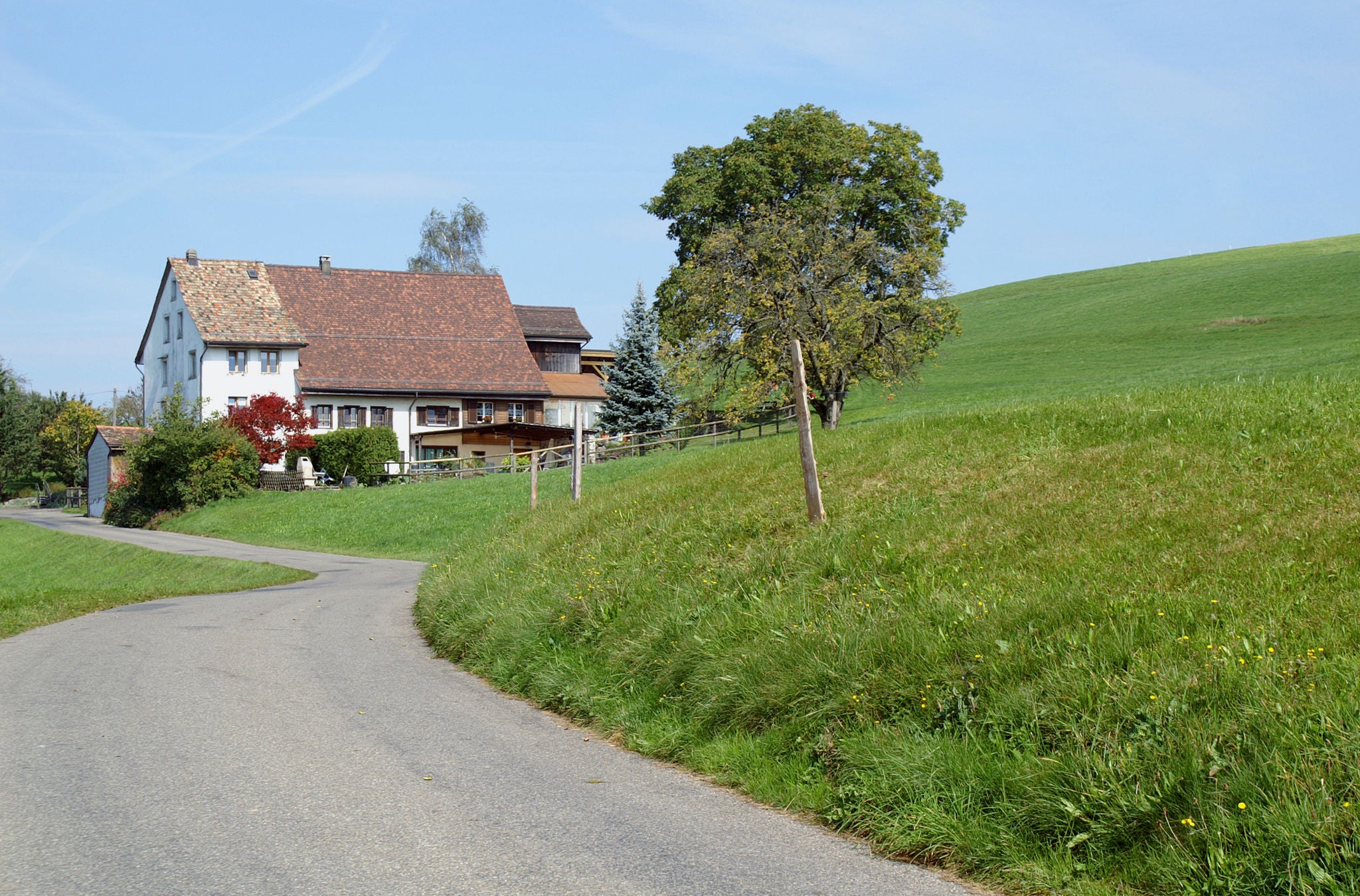 Strasse mit Bauernhaus neben einer grossen Wiese