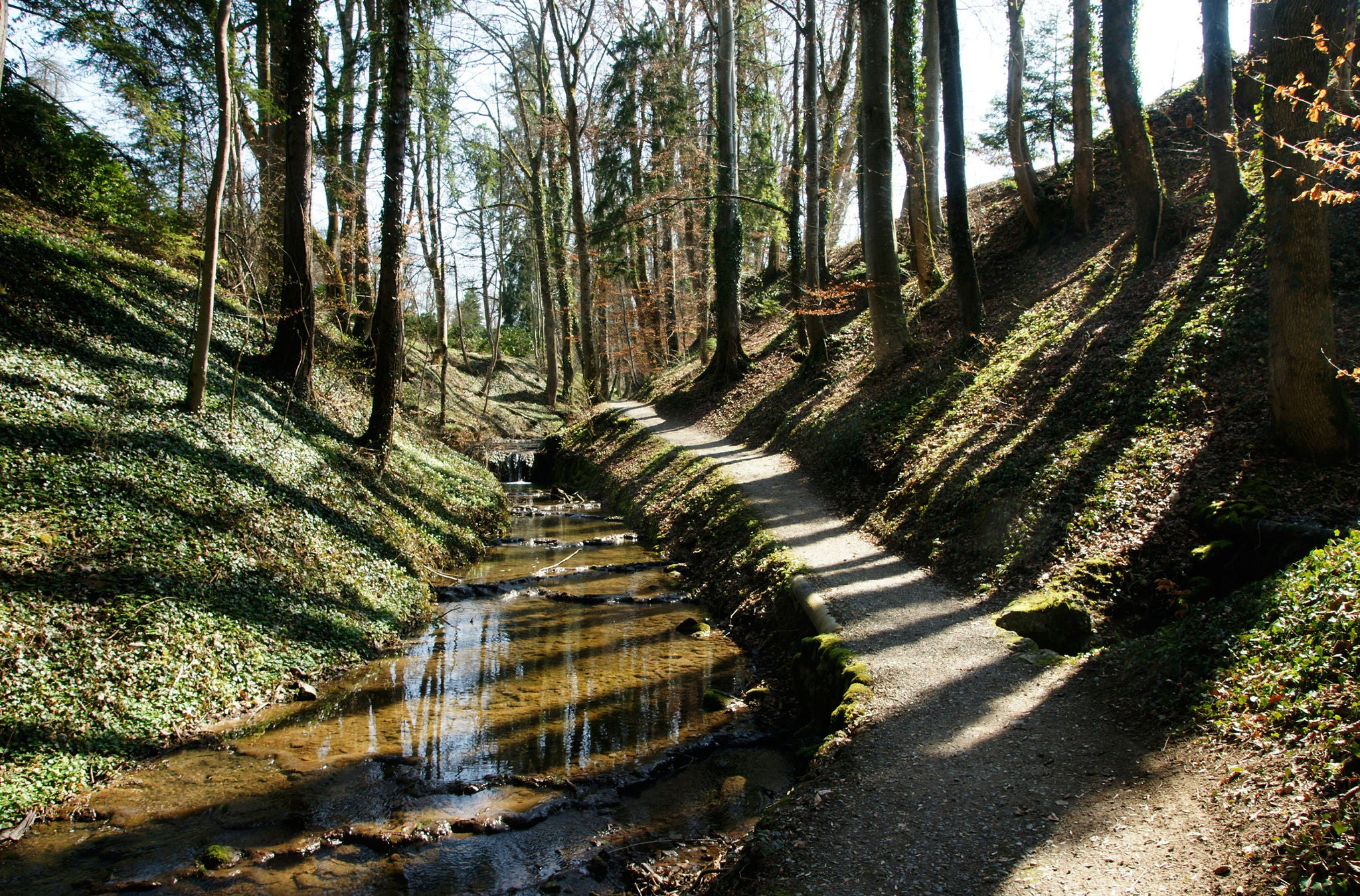 Das sagenumwobene Küsnachter Tobel.