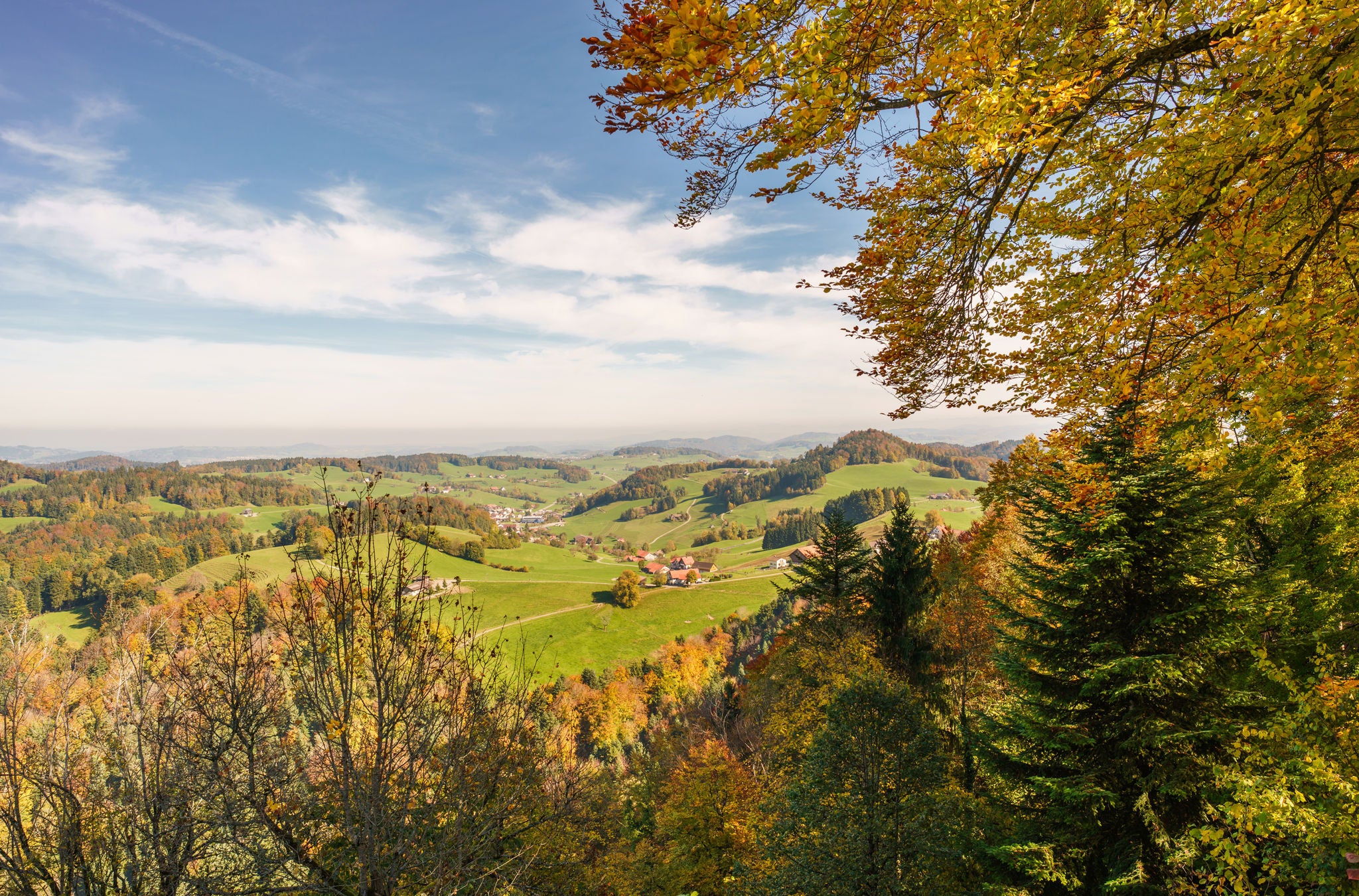 Herbstliche Stimmung auf dem Sternenberg auf der Wanderung von Bauma nach Saland