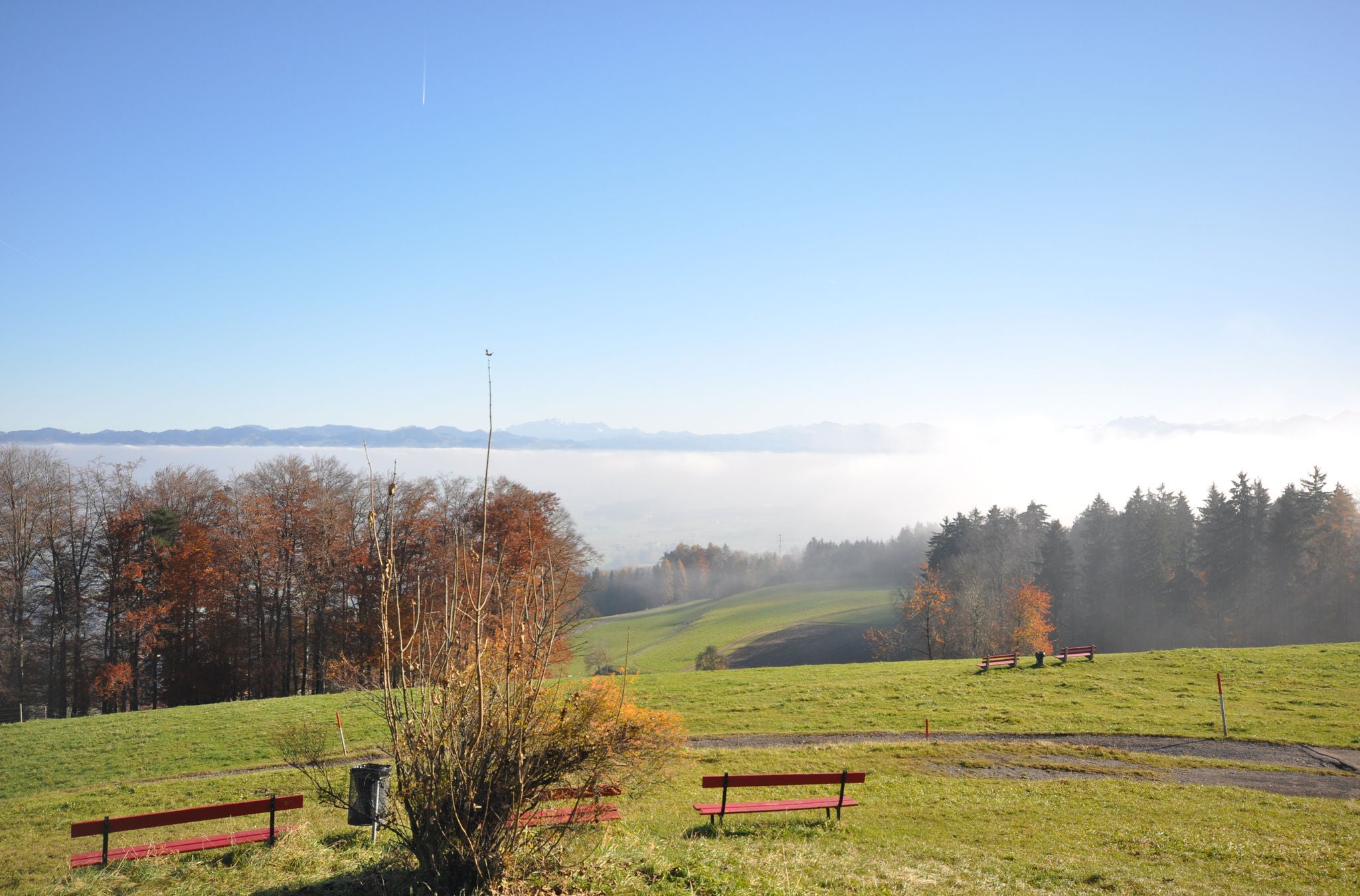 Aussicht auf das herbstliche Nebelmeer auf der Wanderung durch die Rebberge der Goldküste