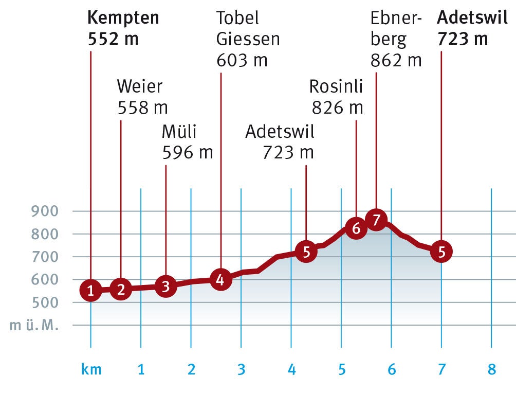 Diagramm_Kempten_Adetswil.indd