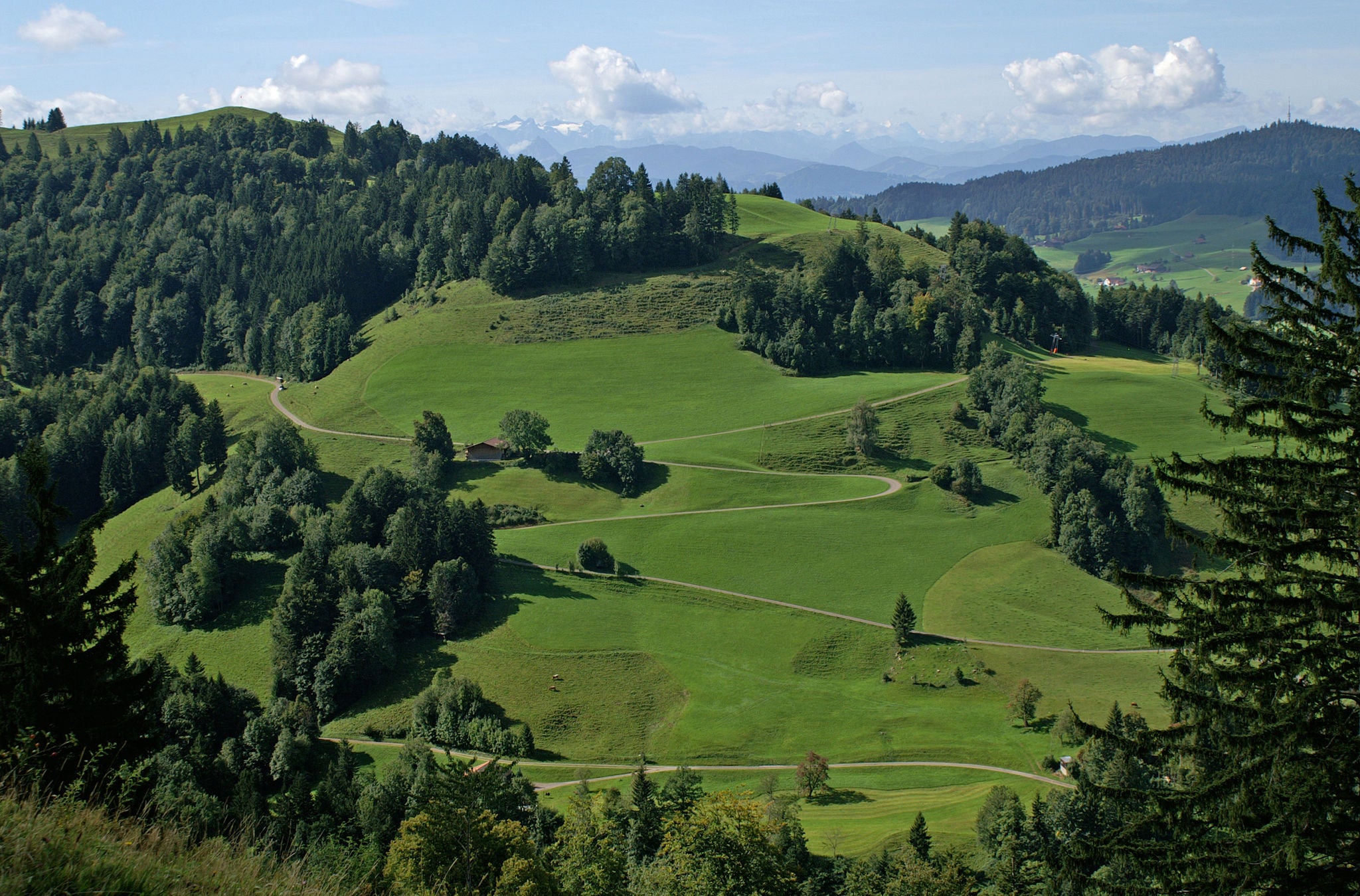 Weitaufnahme des Wanderweges mit viel Natur und saftigen grünen Wiesen