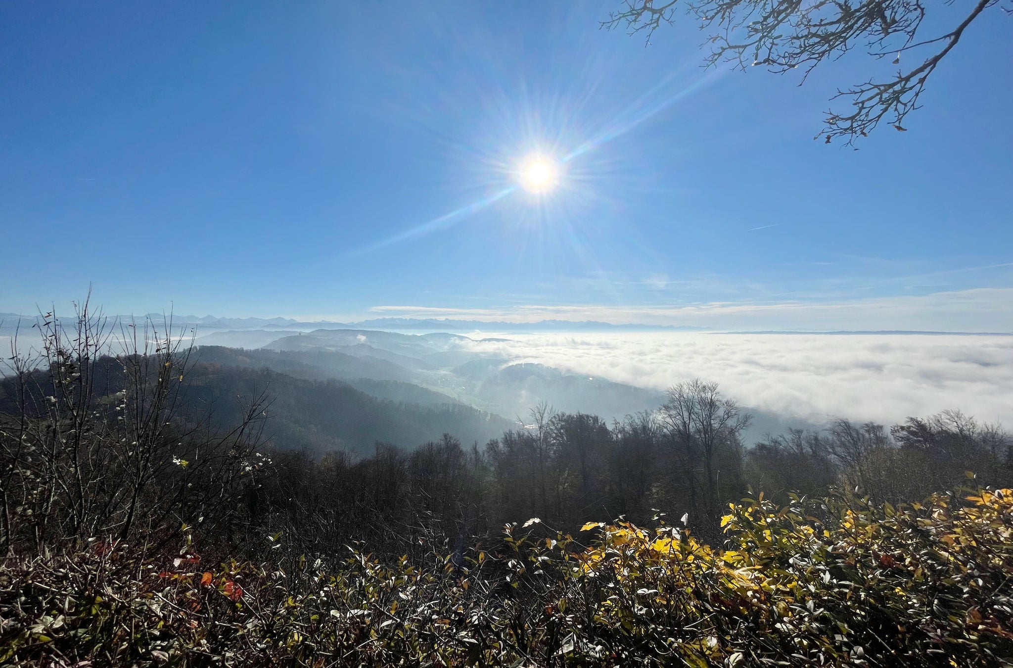 Der Blick vom Uetliberg aufs Nebel bedeckte Säuliamt. 