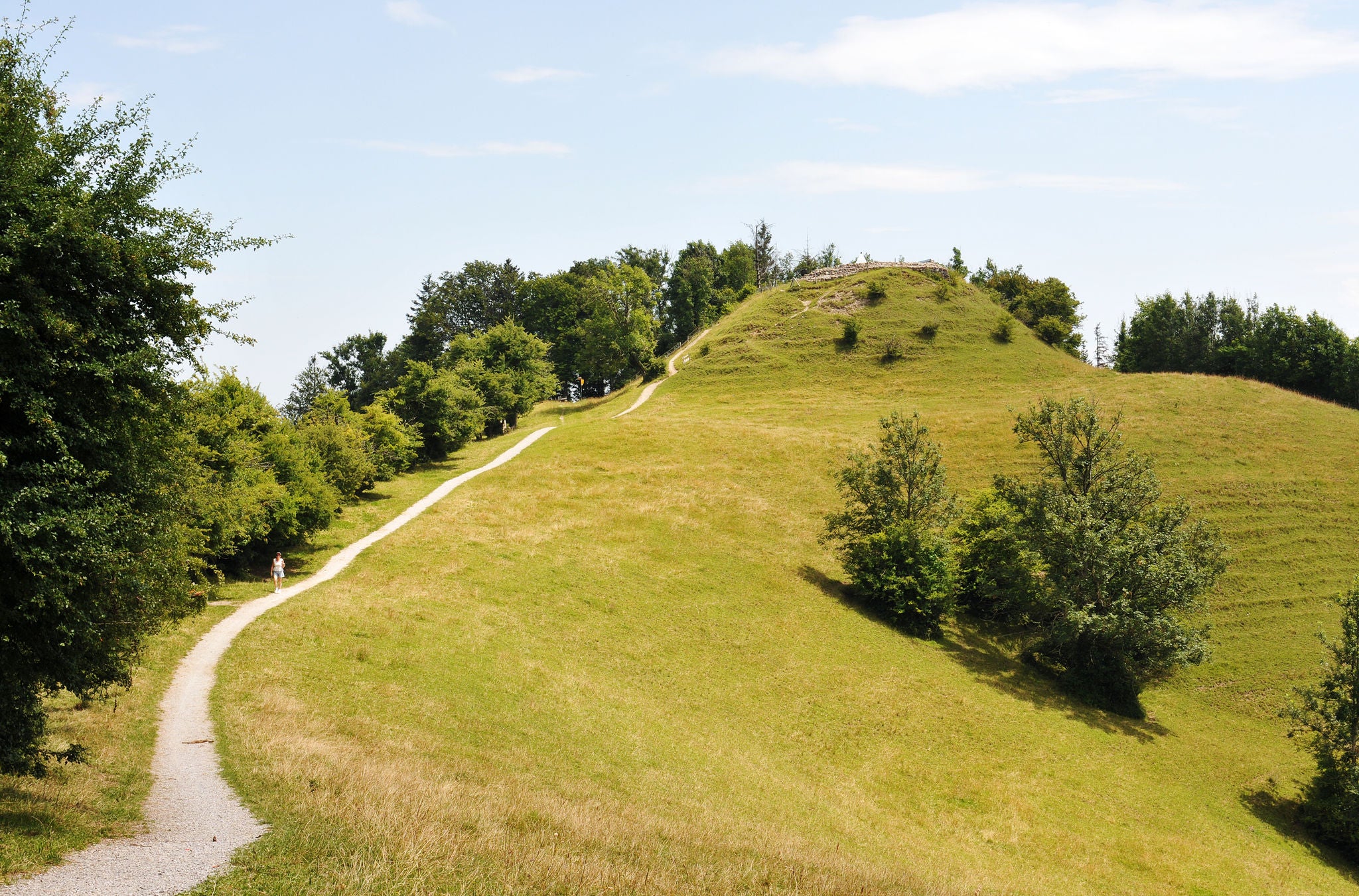 Ein Weg führt auf den Schauenberg im Zürcher Oberland