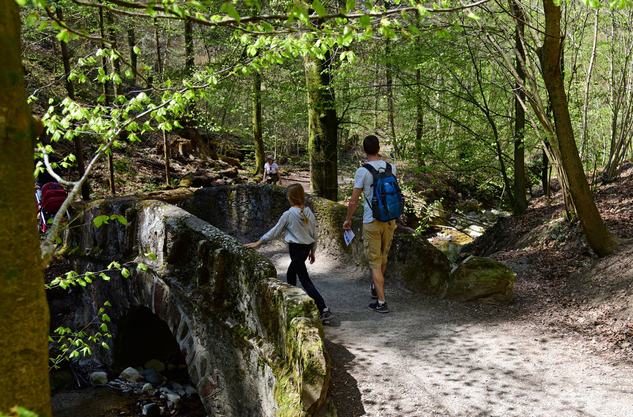 Elternteil und Kind im Wald. 