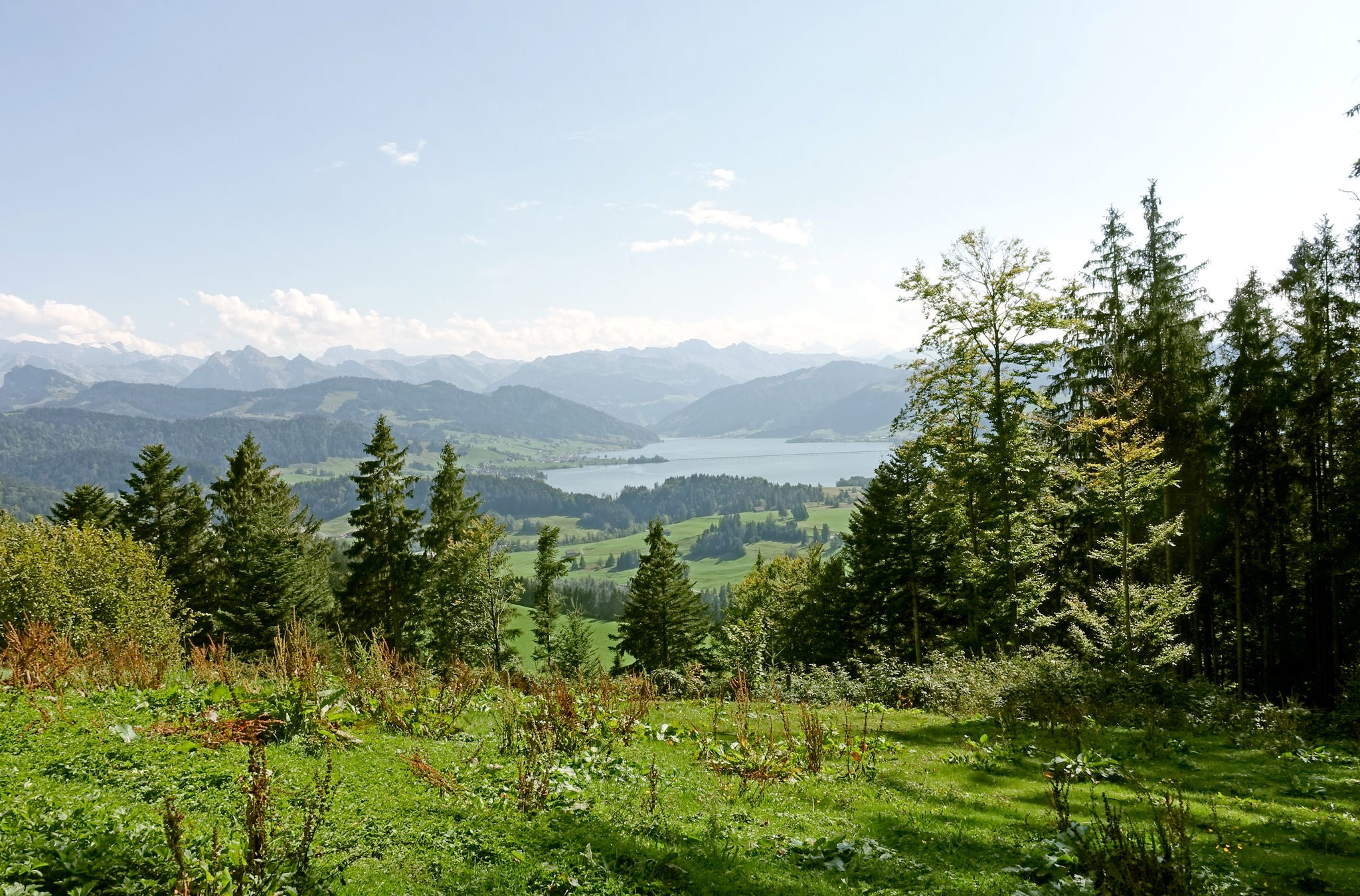 Ausblick auf den Sihlsee