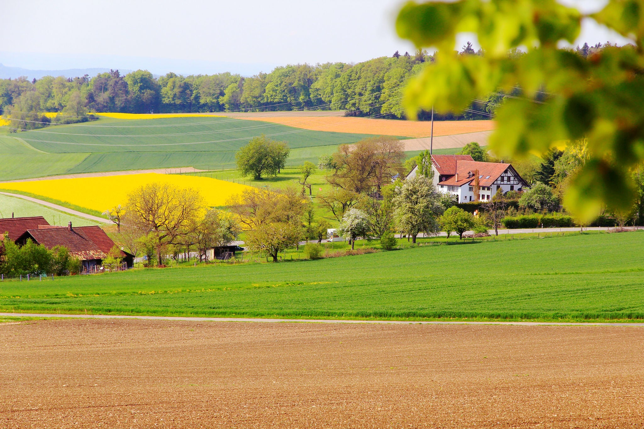 Aussicht auf der Wanderung von Bülach über den Eschenmosen