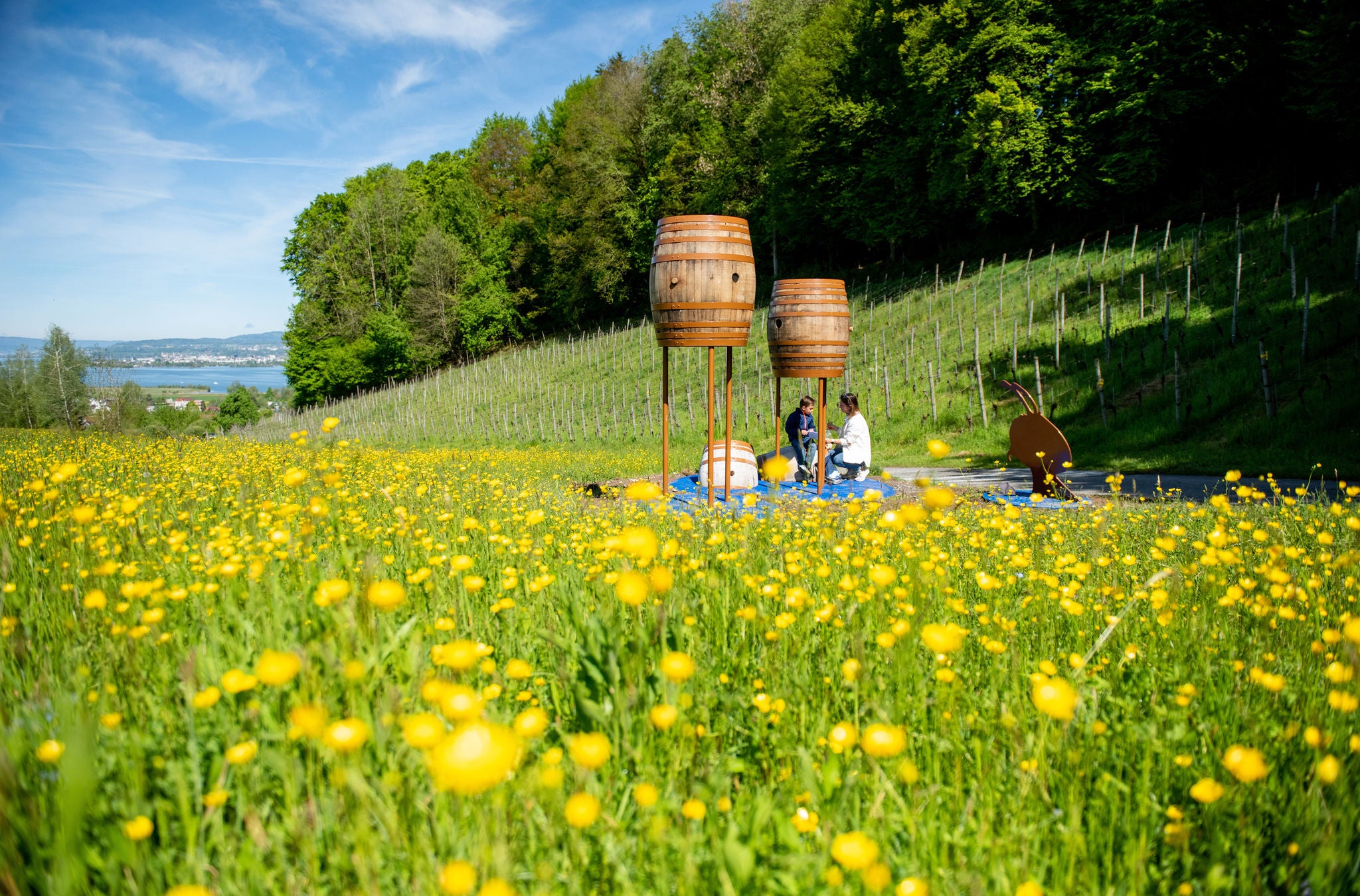 Unterwegs auf dem Erlebnisweg Obersee gibt es knifflige Rätsel zu lösen und viel zu entdecken.