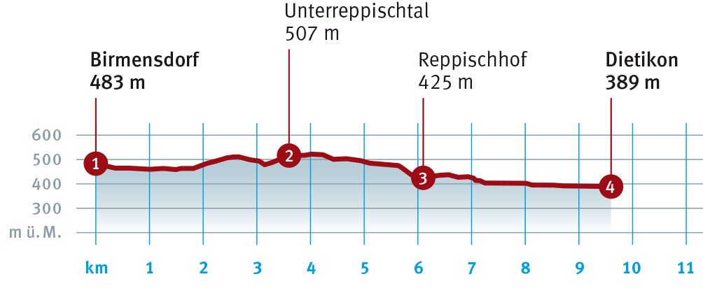 Diagramm_Birmensdorf_Dietikon.indd