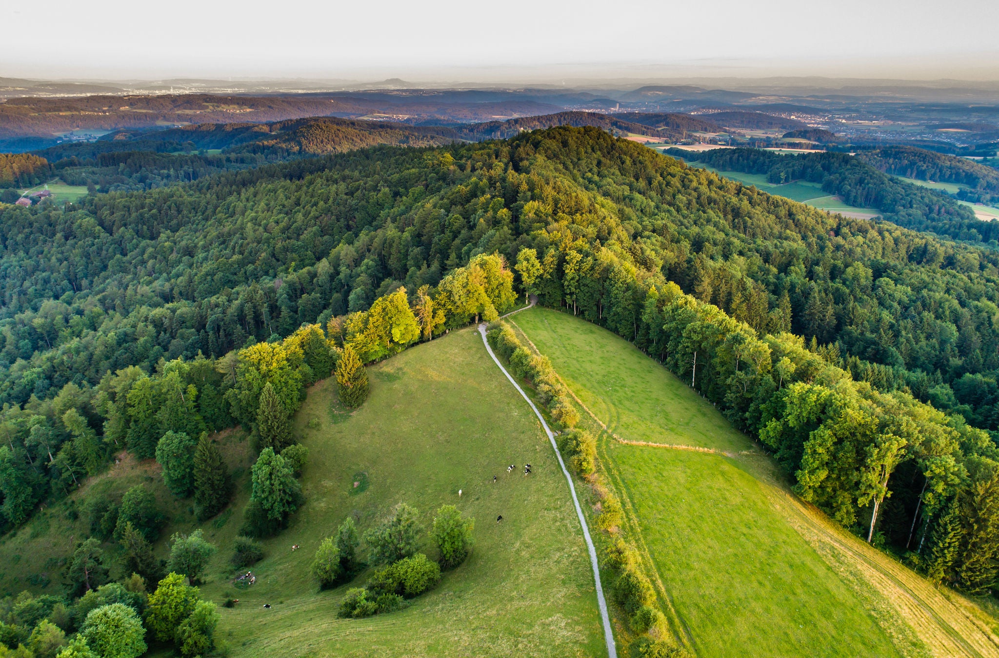 Luftaufnahme mit Blick auf den Schauenberg