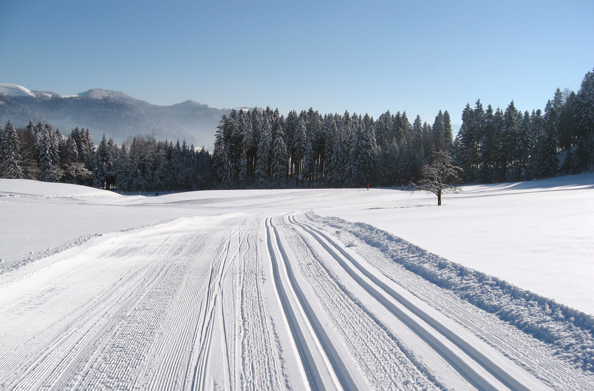 Langlaufloipe im Zürcher Oberland