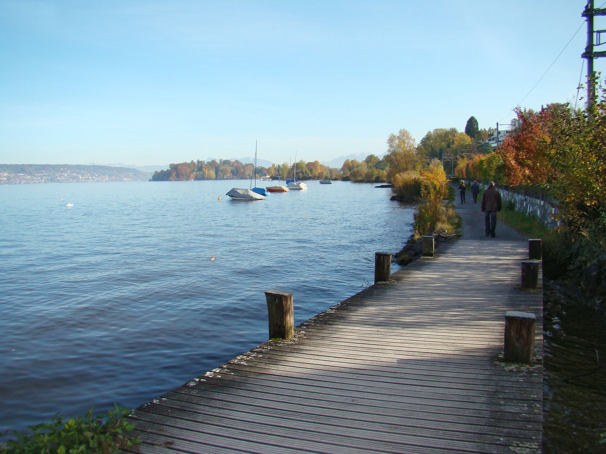 Seeweg am Zürichsee mit der Halbinsel Au im Hintergrund