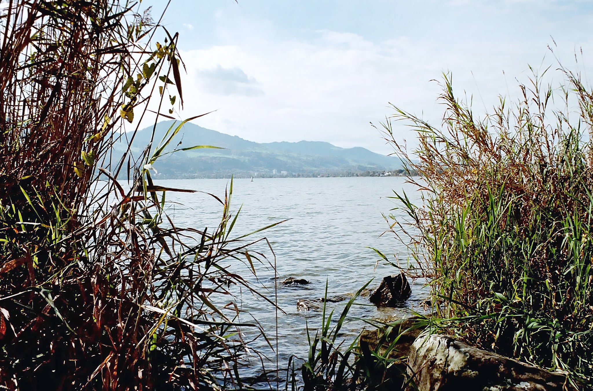 Am See entlang von Schmerikon nach Jona