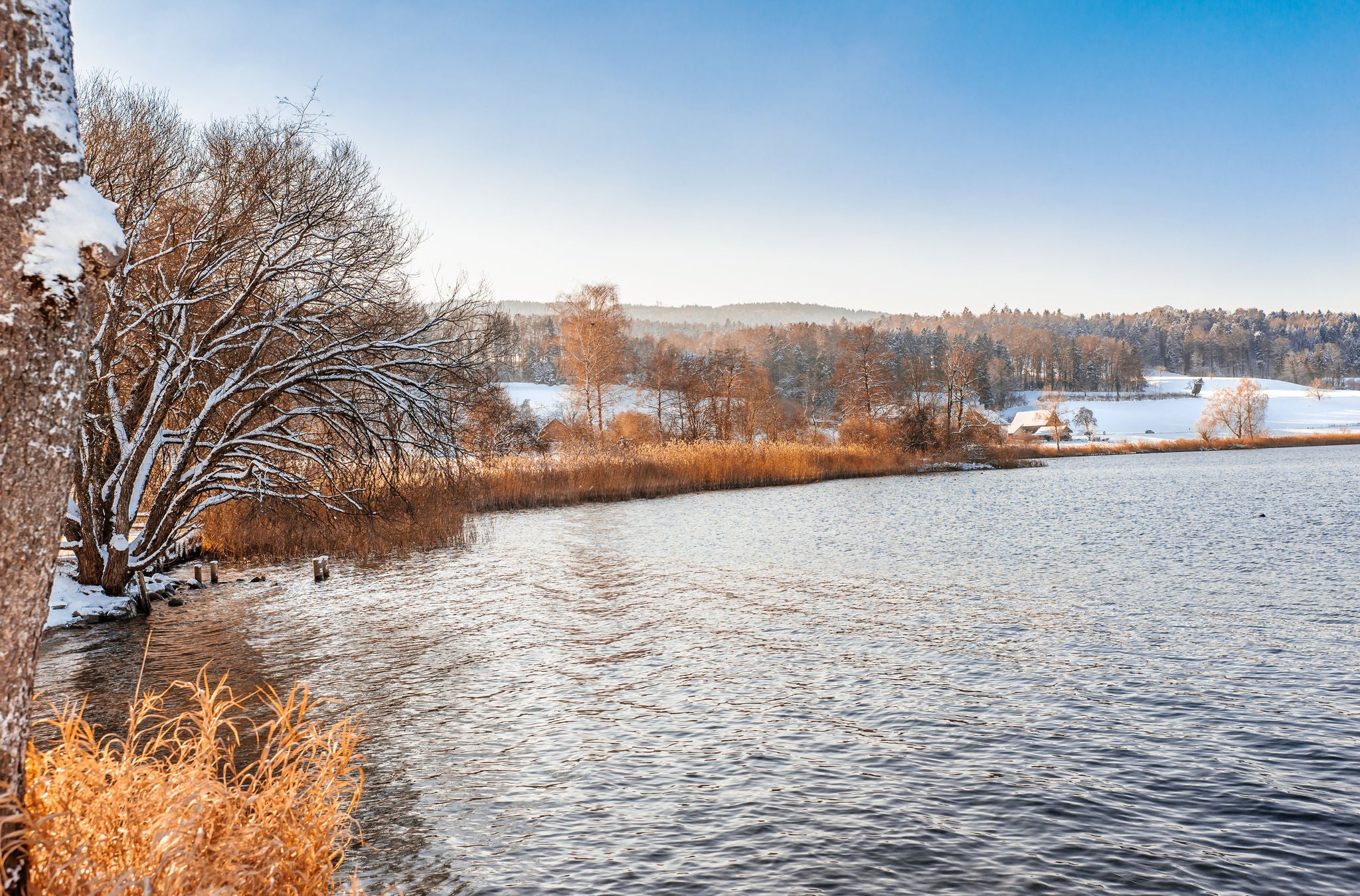 Greifensee auf der Wanderung von Dübendorf nach Mönchaltorf