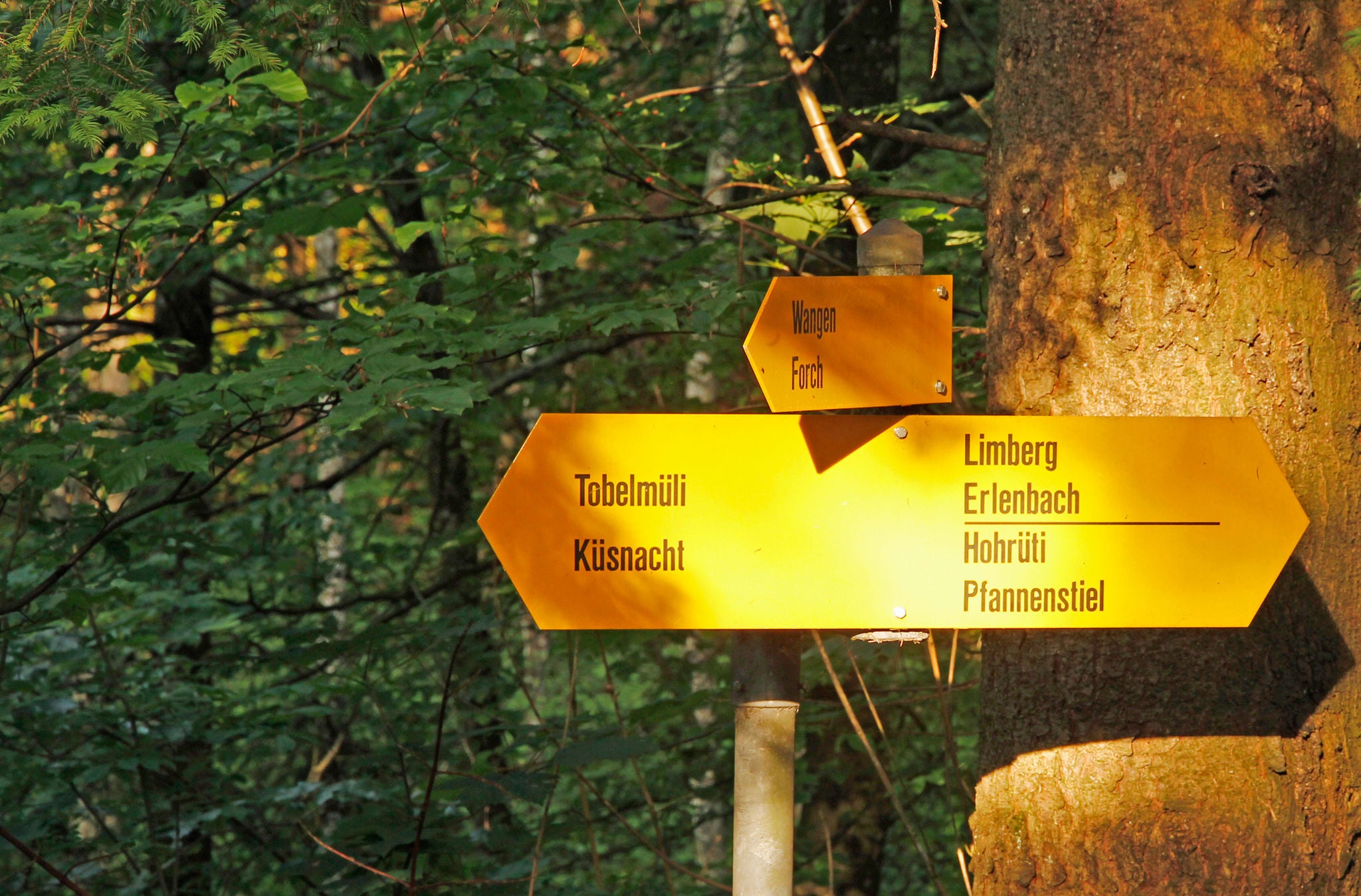 Gelbe Wanderschilder auf der Wanderung zwischen Greifensee und Zürichsee