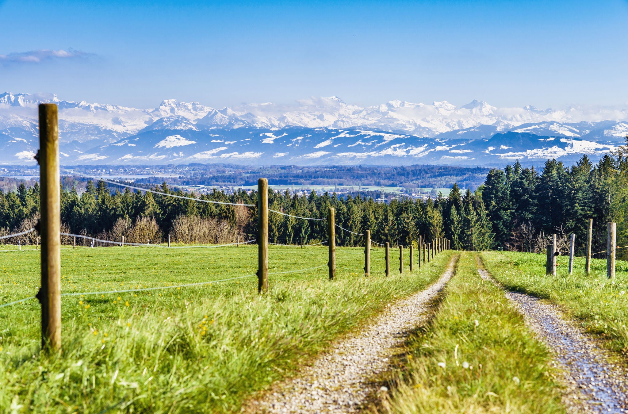 Blick in die verschneiten Alpen auf der Wanderung von Fehraltorf nach Billikon