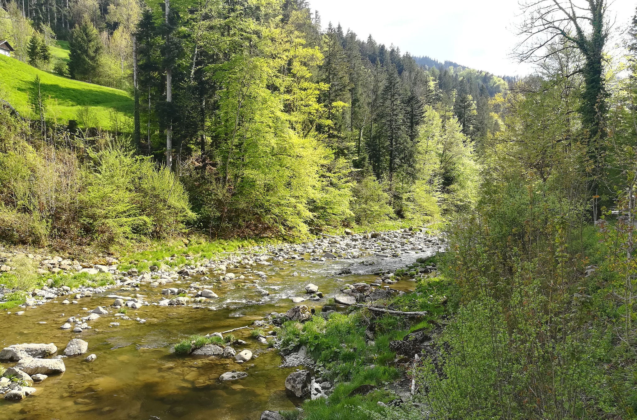 Auf der Wanderung von Richterswil durch die Sihlschlucht