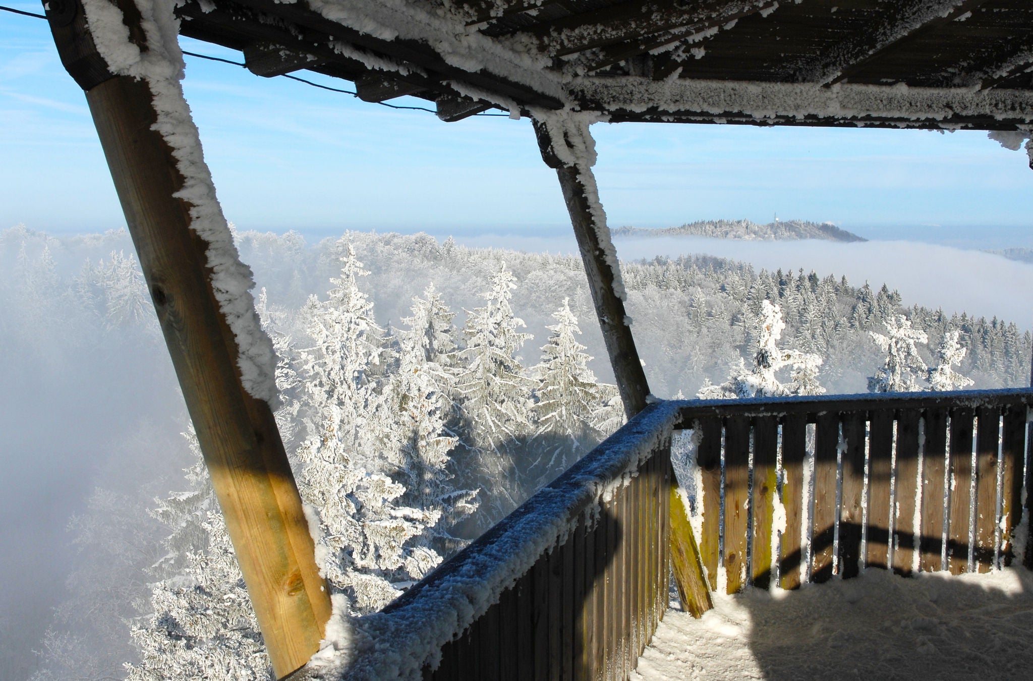 Die Aussicht über ein Waldgebiet von einer Hochwacht aus auf der Wanderung von Albispasshöhe bis Tüfenbach. 