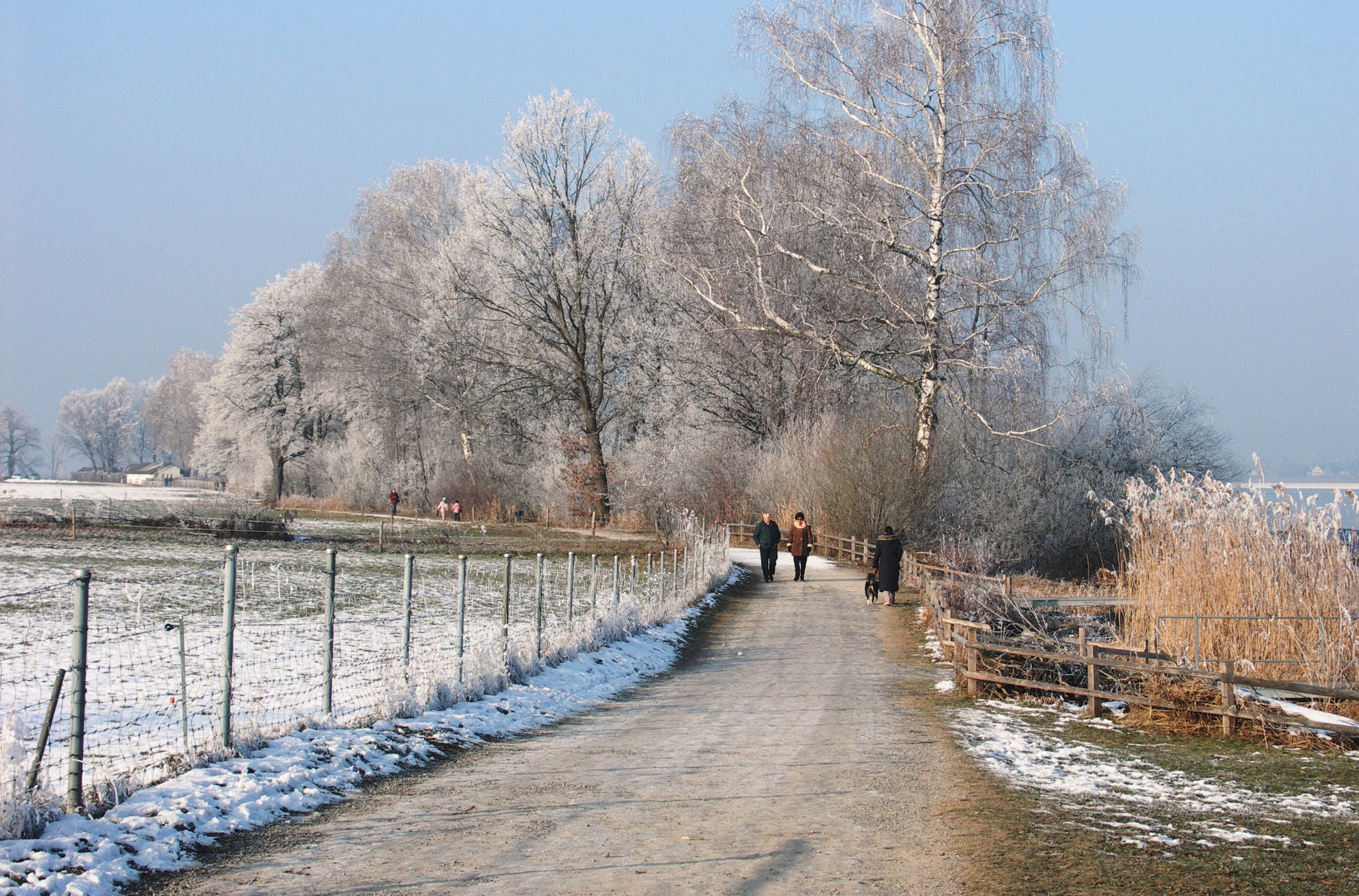 Wanderweg an einem kalten Wintertag