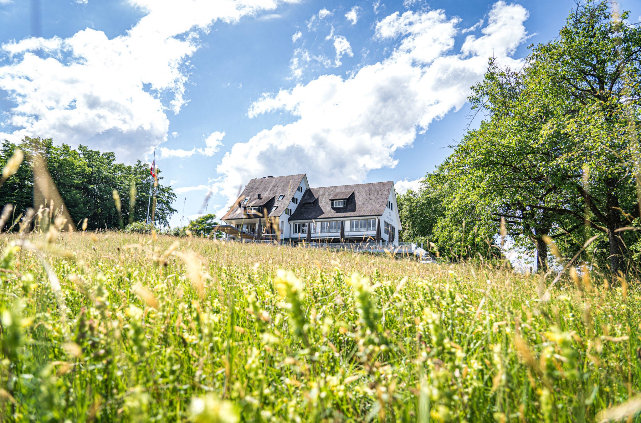 Der Landgasthof Halbinsel Au hinter einer schönen Blumenwiese.