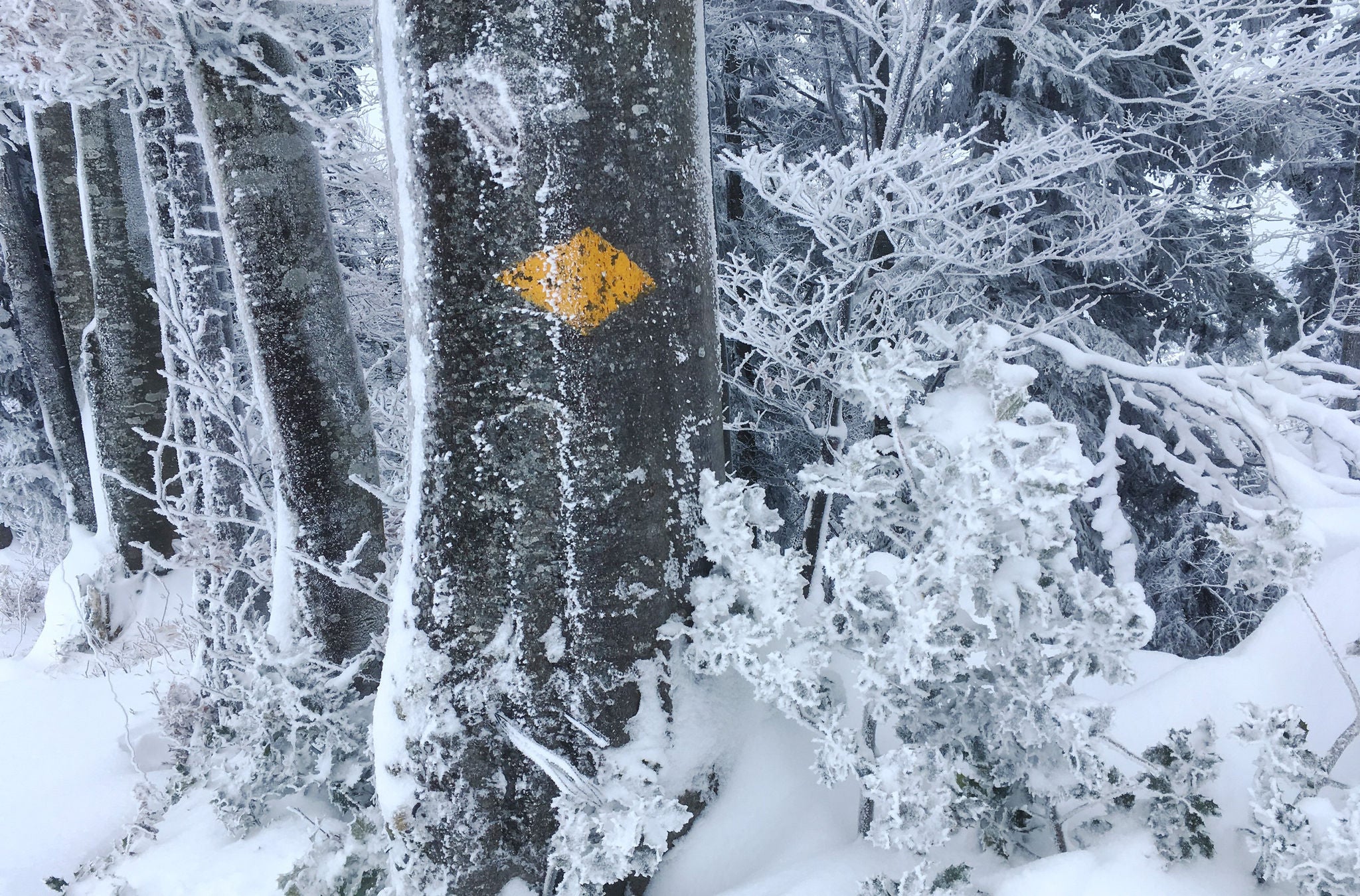 Wanderung von Kollbrunn nach Rämismühle