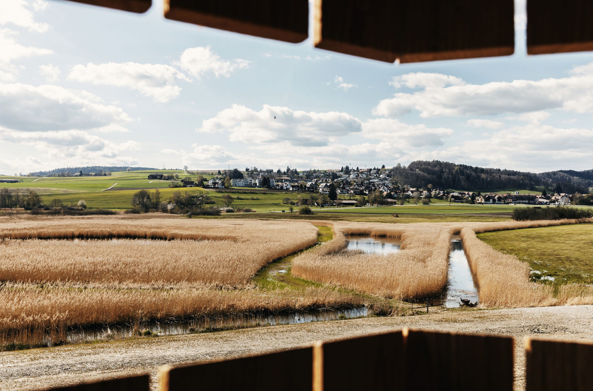 Ausblick vom Höriberg, einer der schönsten Ausblicke im Zürcher Unterland.