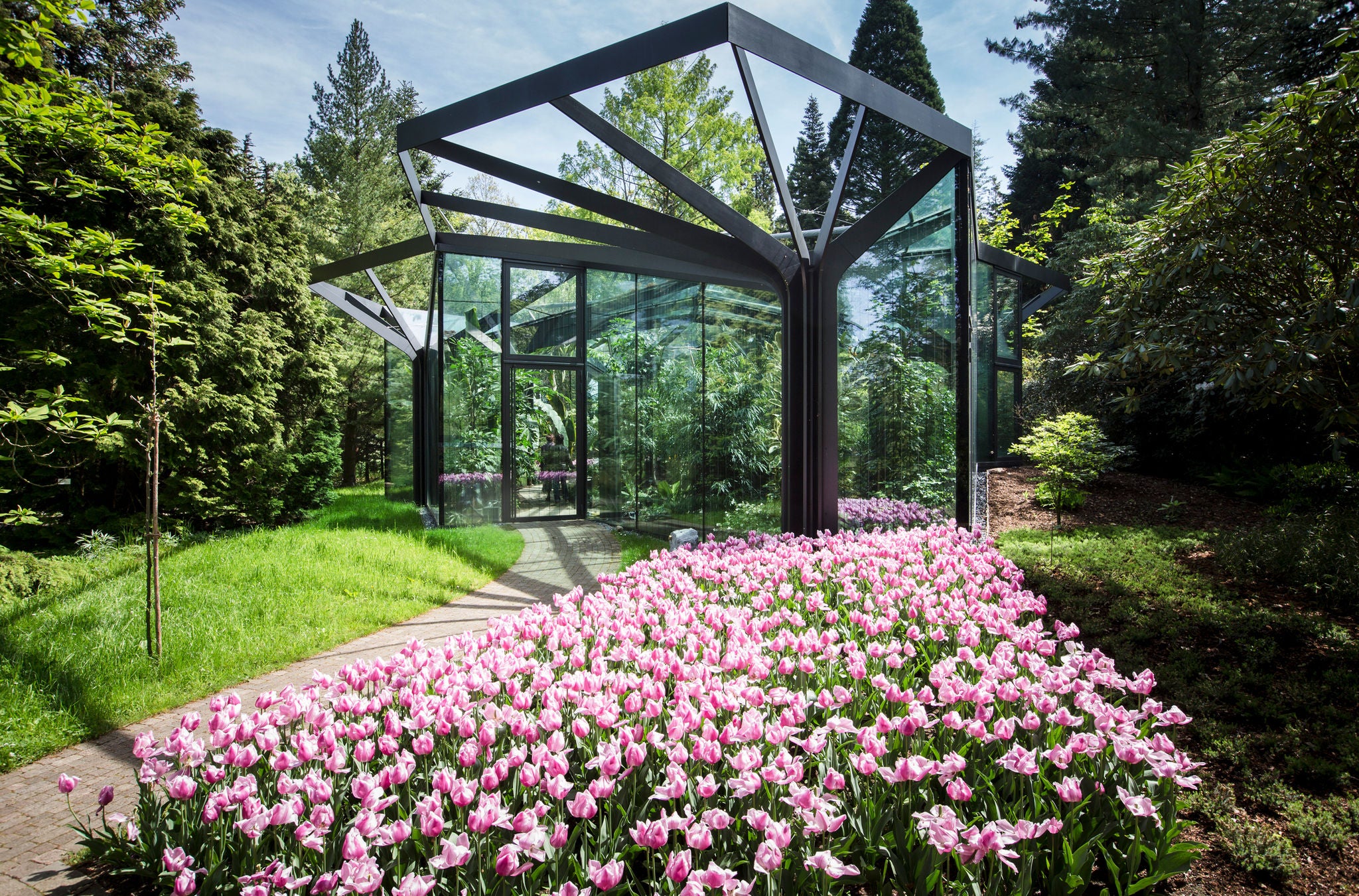 Blumenpracht im frühlingshaften botanischen Garten in Grüningen.