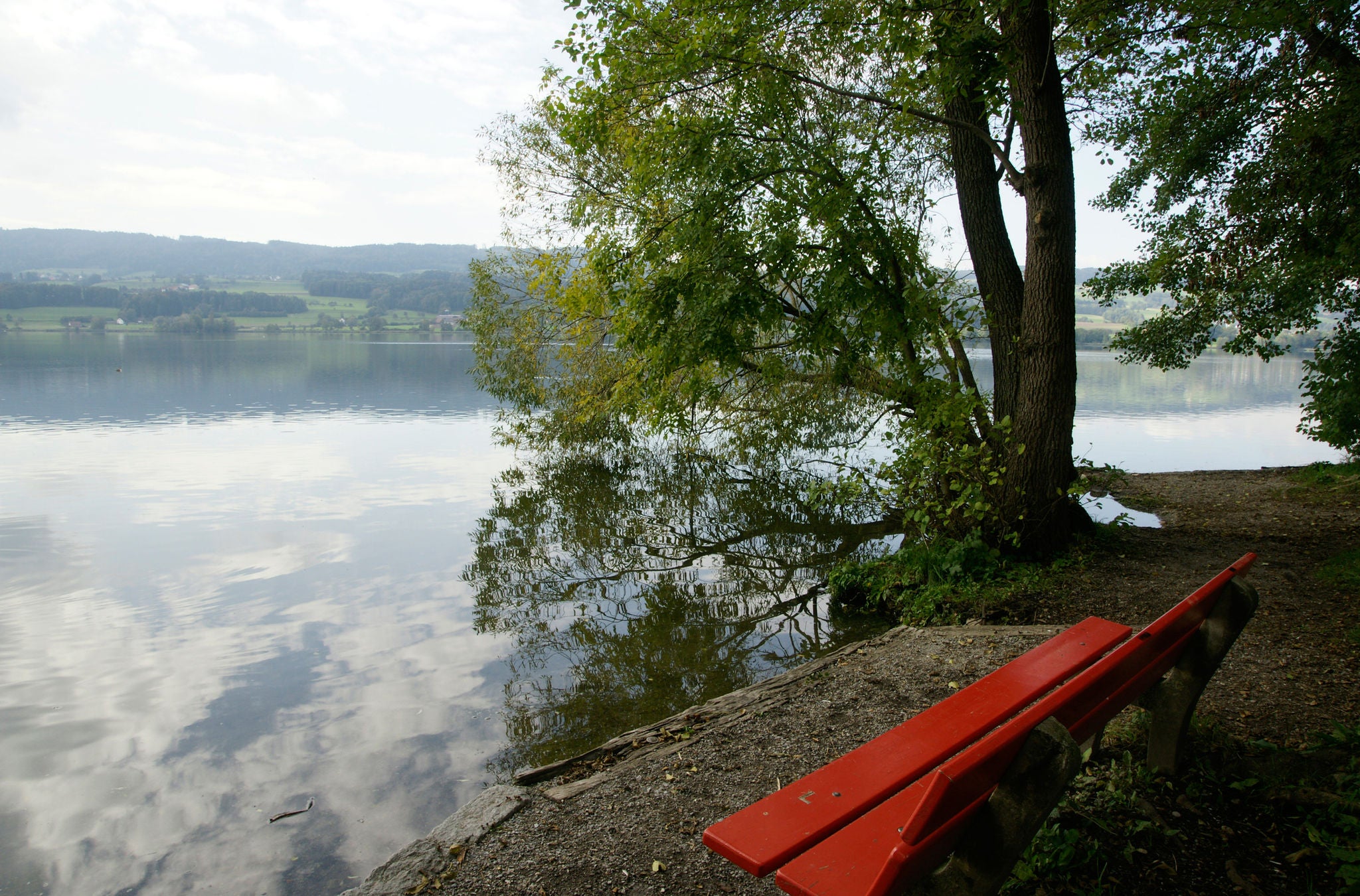 Aublick auf den Greifensee mit einer roten Bank im Vordergrund