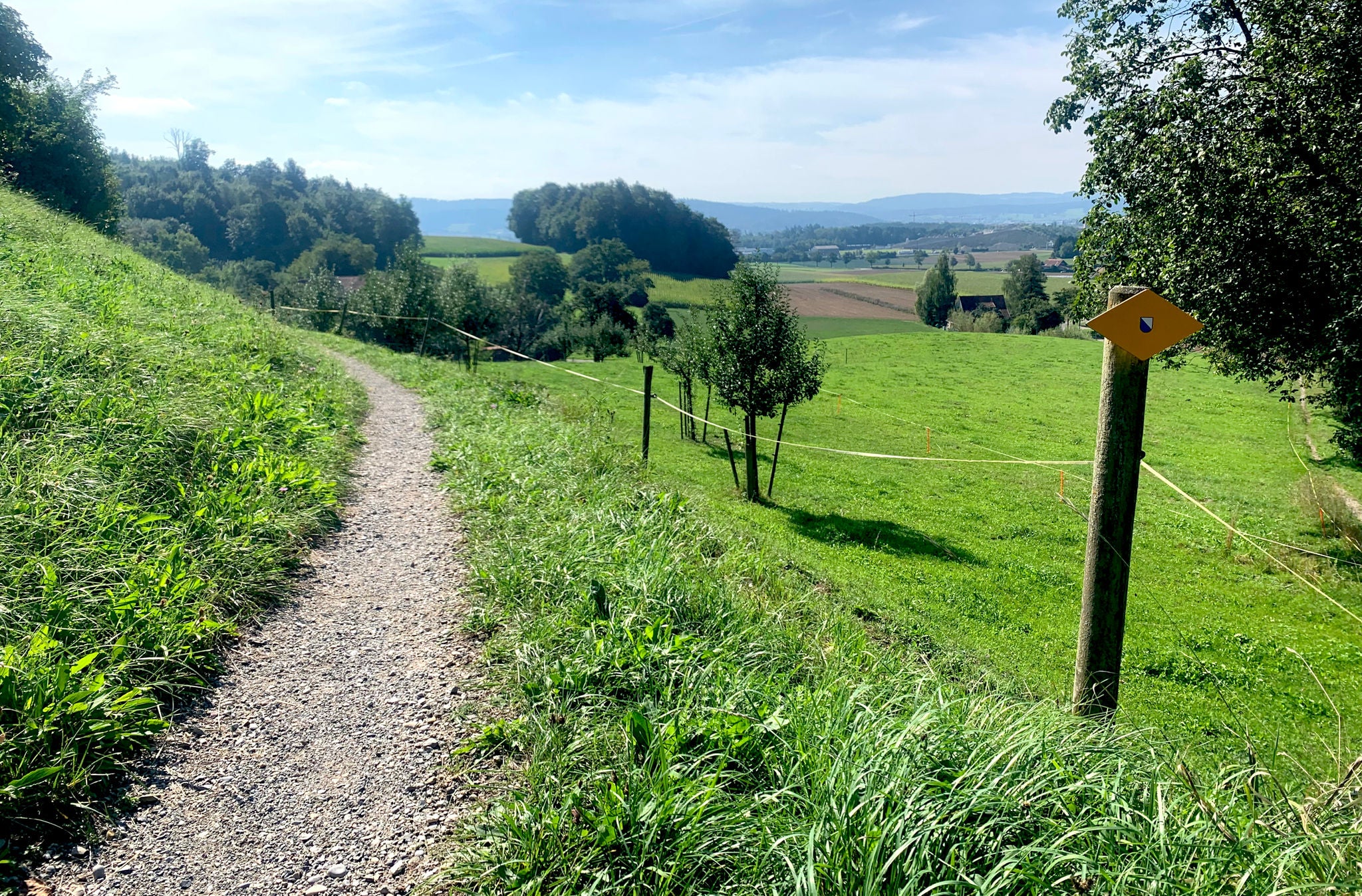 Schöne Wanderwege auf der Familienwanderung Knobeln