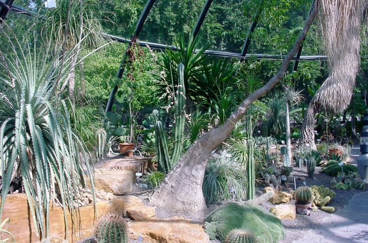 Freizeittipp Botanischer Garten Zurich Zvv